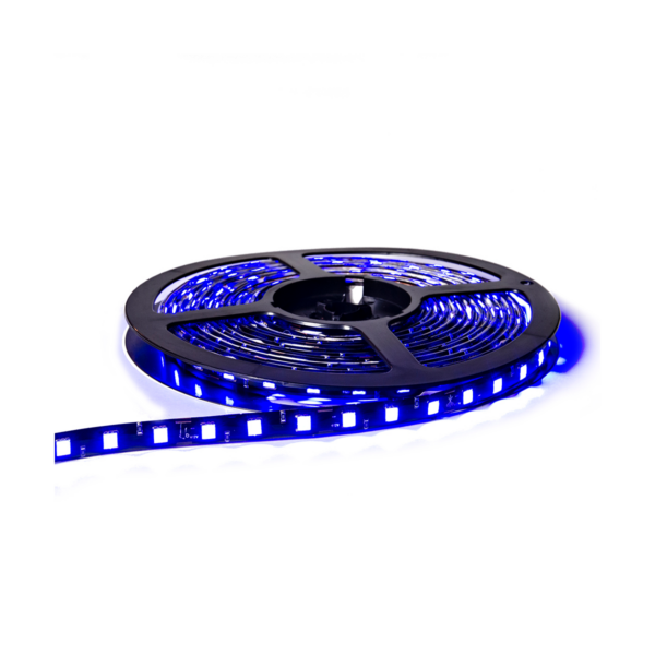 TIRA DE LED (300 LED) 5 METROS 5050 - AZUL 12V